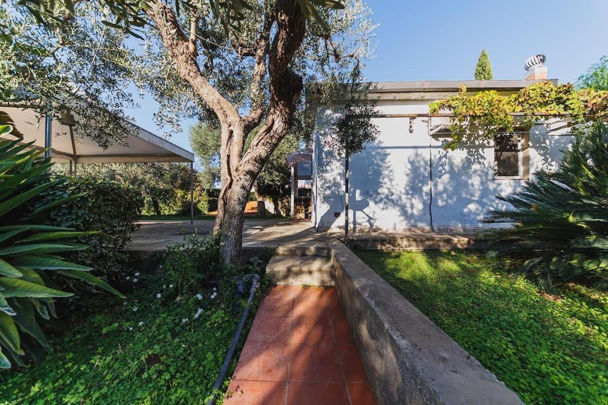 Countryhouse Gli Ulivi Modugno Exterior foto